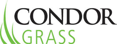 Condor Grass Pisando Fuerte